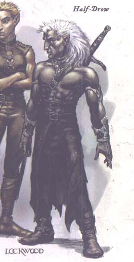 Half-Drow 1